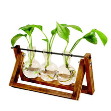 Load image into Gallery viewer, Terrarium Glass Plant Vase Wooden Creative Wood Base